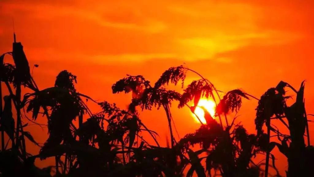 311363397cfb488b84ec292e5d063511.jpg 311363397cfb488b84ec292e5d063511.jpg